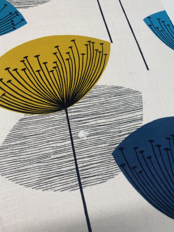 Dandelion Clocks - Image 3