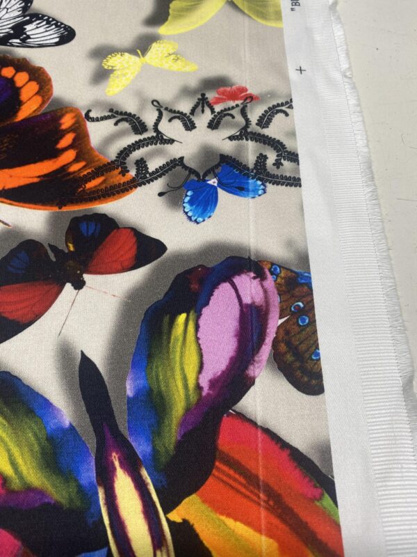 Butterfly Parade - Image 2