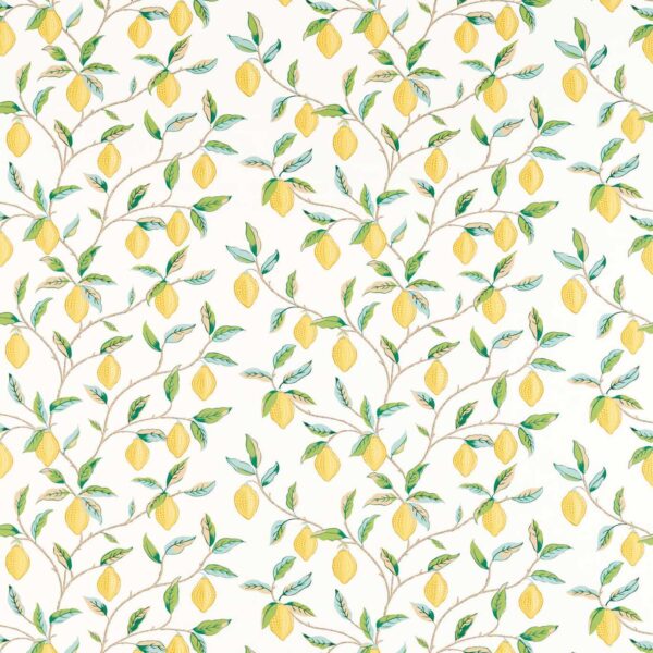 Lemon Tree