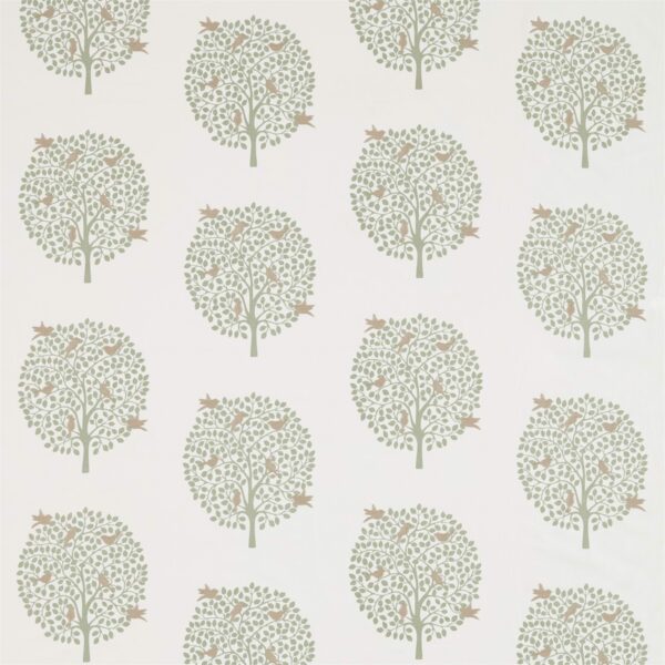 Bay Tree