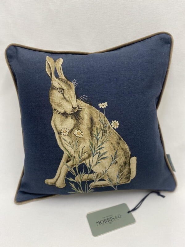 Hare