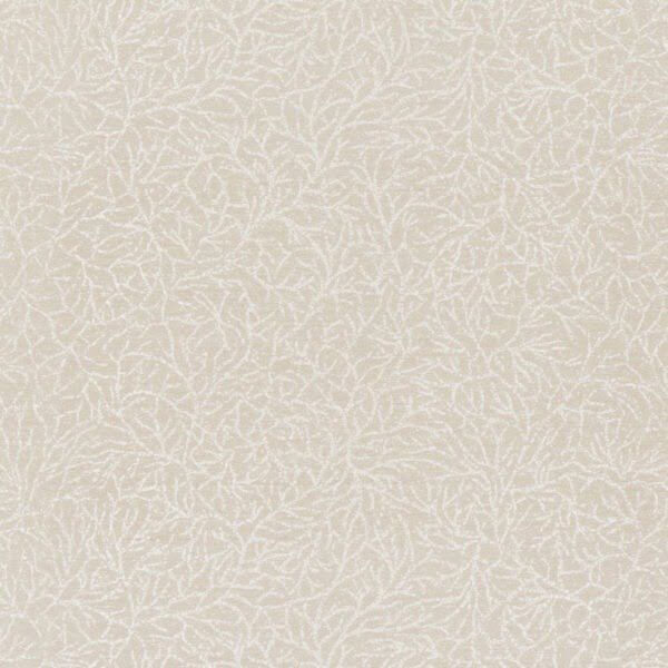 Ribbon Coral