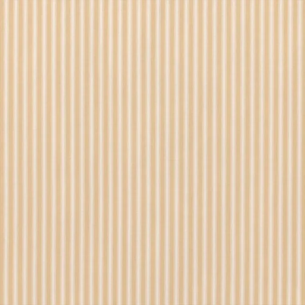 Tiger Stripe Honey