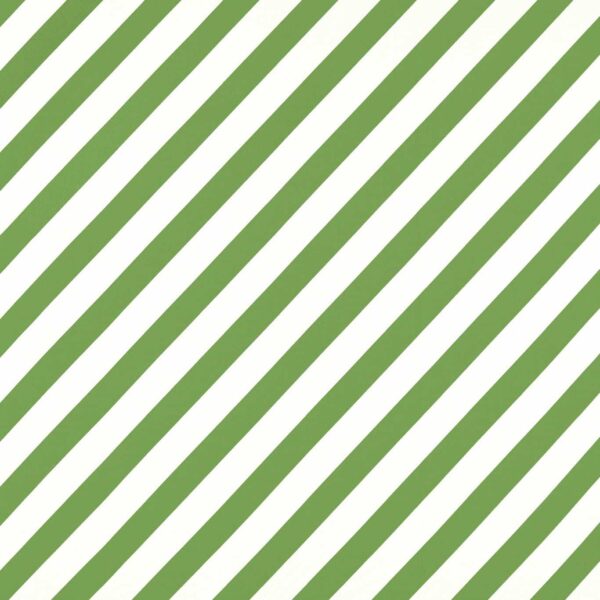 Paper Straw Stripe