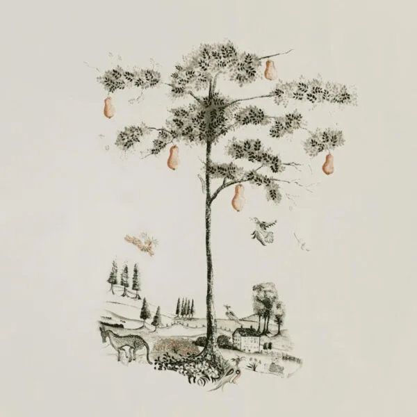 Travellers Tale - Image 2