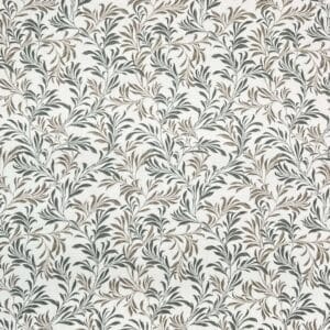 Betula Olive