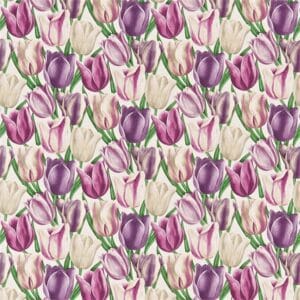 Early Tulips