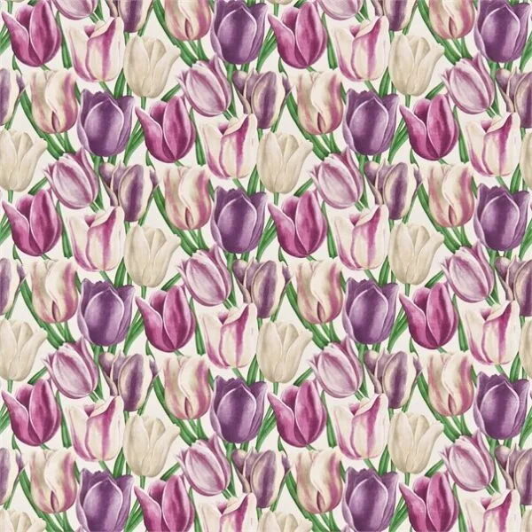 Early Tulips