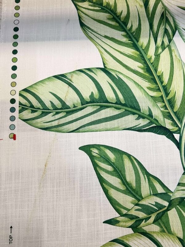 Calathea Botanical Indoor/Outdoor - Image 2