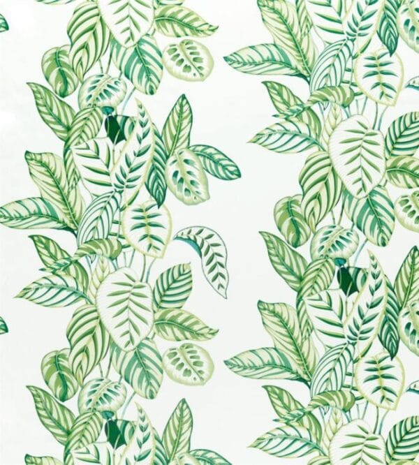 Calathea Botanical Indoor/Outdoor