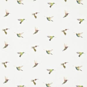 Amazilia Voile
