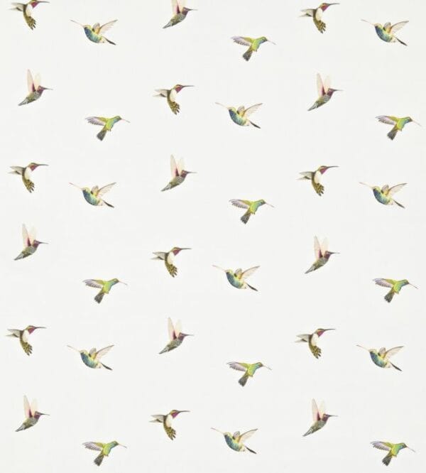 Amazilia Voile