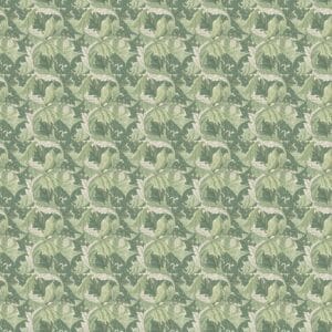 Acanthus