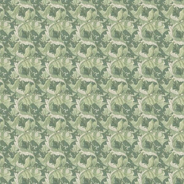 Acanthus