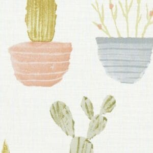 Cactus Pastel
